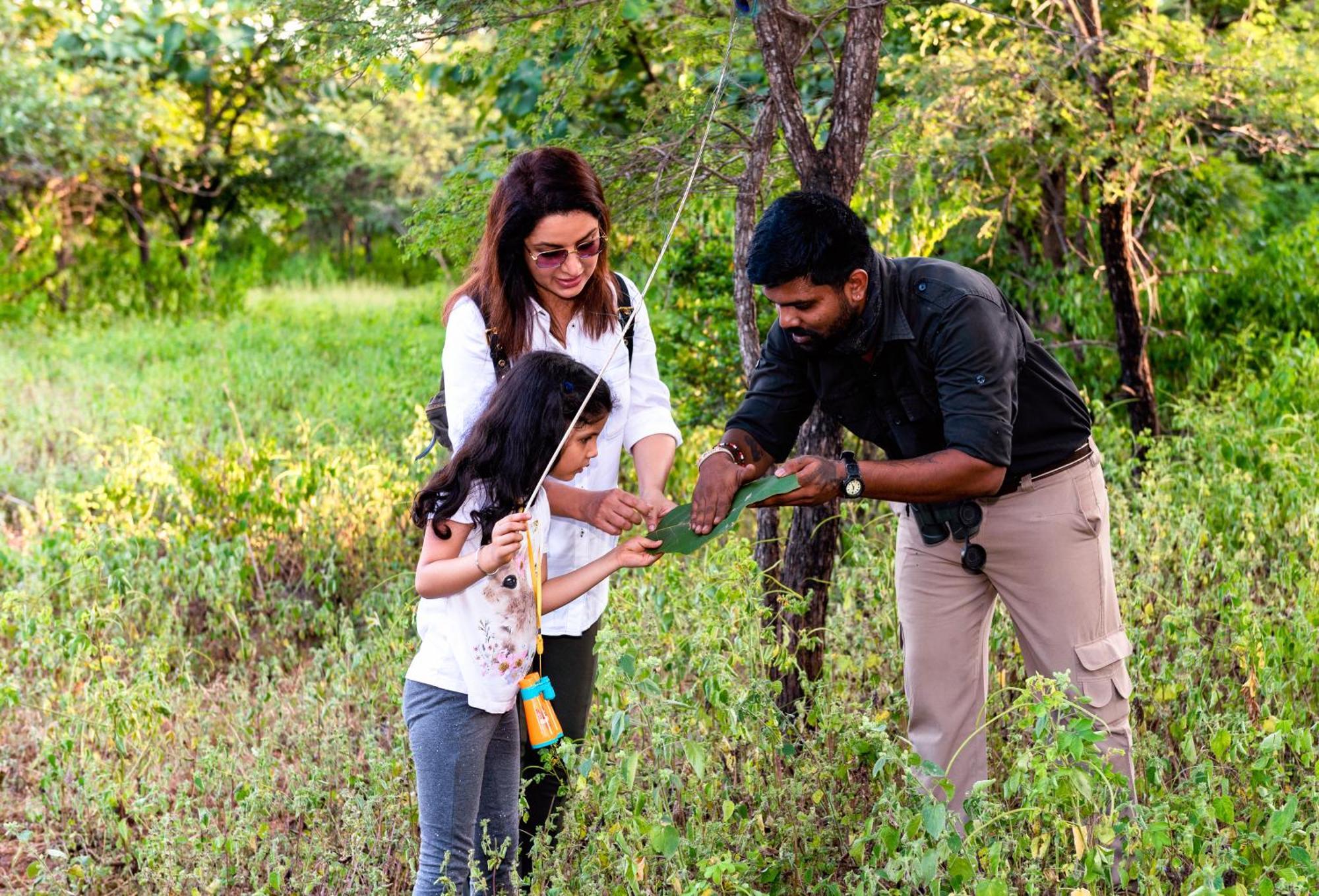 Pashan Garh Panna National Park - A Taj Safari Exteriér fotografie